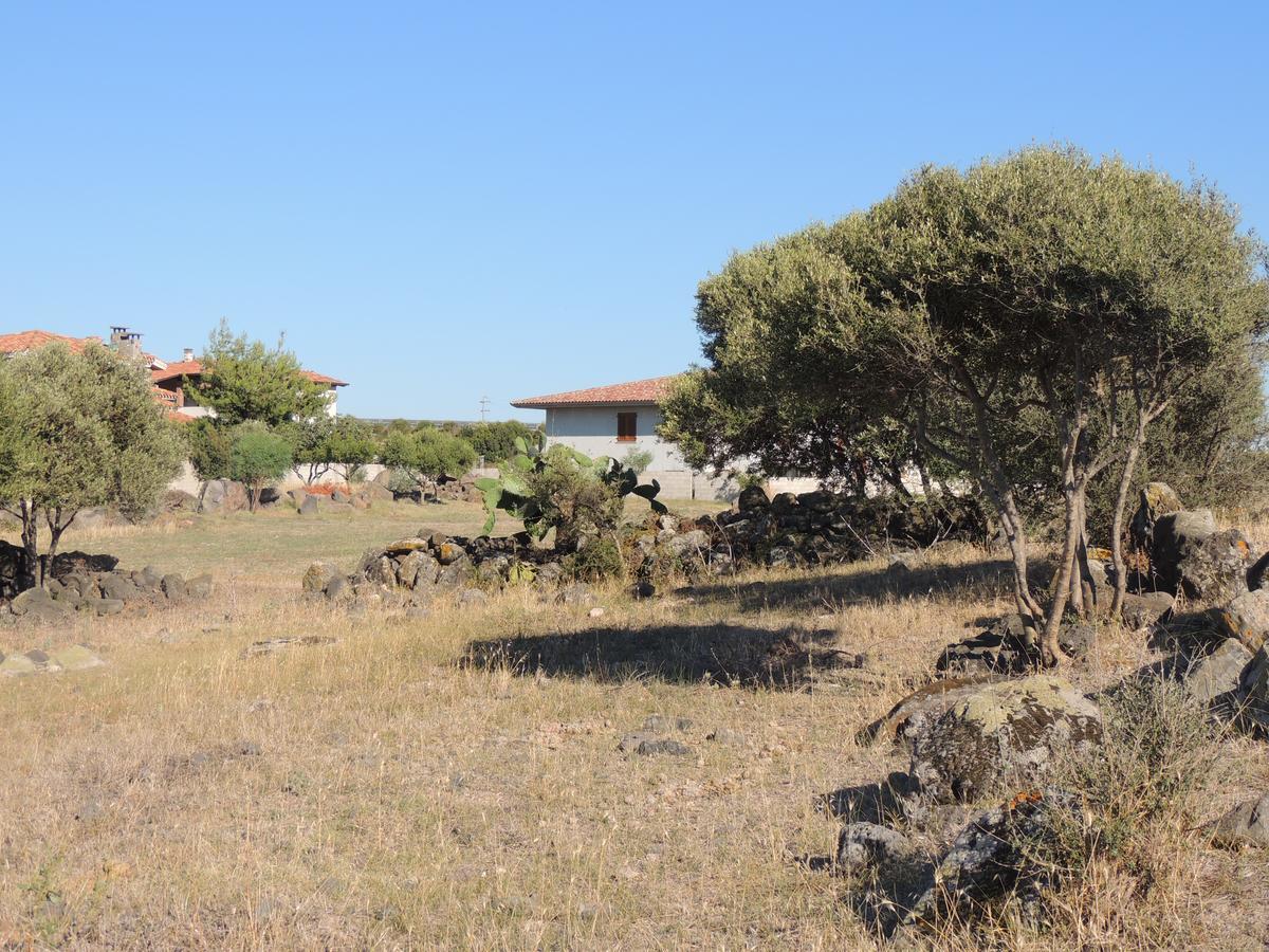 Bed and Breakfast Il Nuraghe Uras Экстерьер фото
